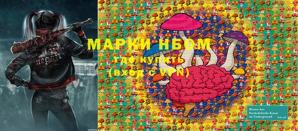 гашик Балахна