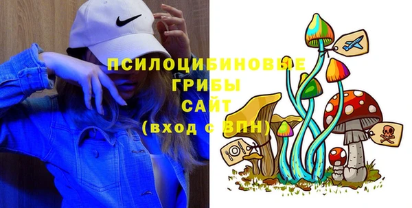 гашик Балахна