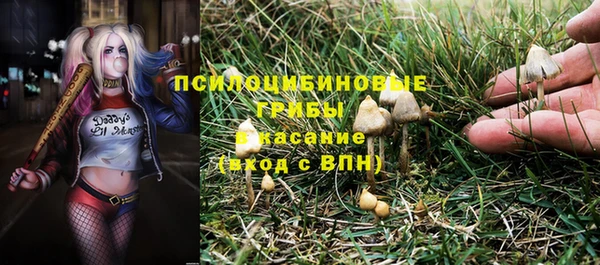гашик Балахна