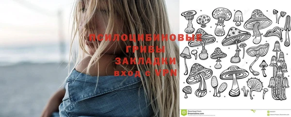 гашик Балахна
