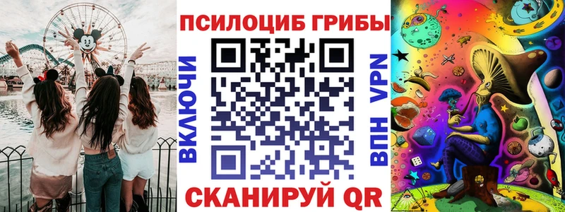 Галлюциногенные грибы Psilocybine cubensis  Красновишерск 